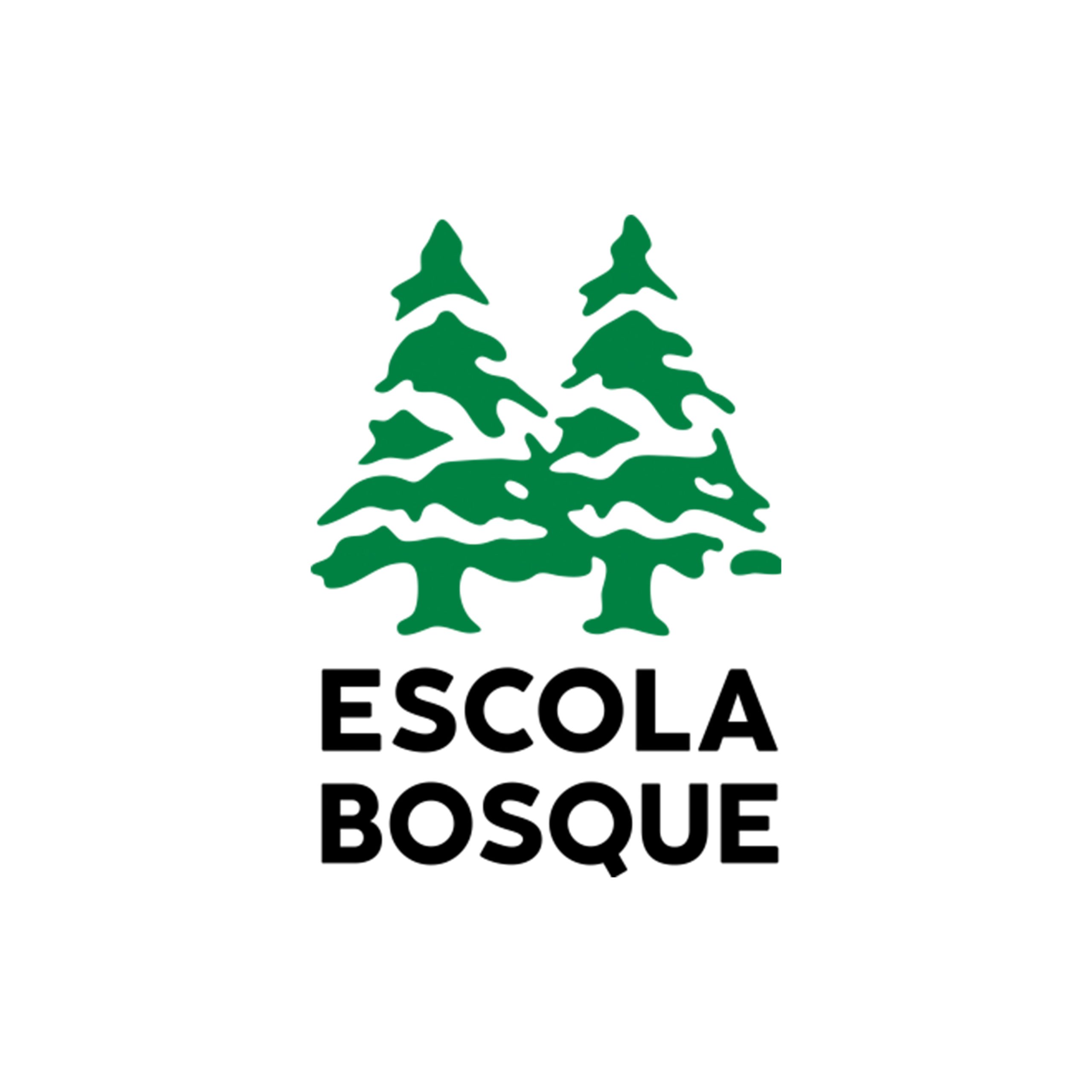 Com o uso do Minecraft Education Edition, a Escola Bosque tornou-se parte do Eco-Escolas